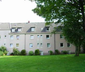 Weihnachtsfest im neuen Nest? - Photo 1