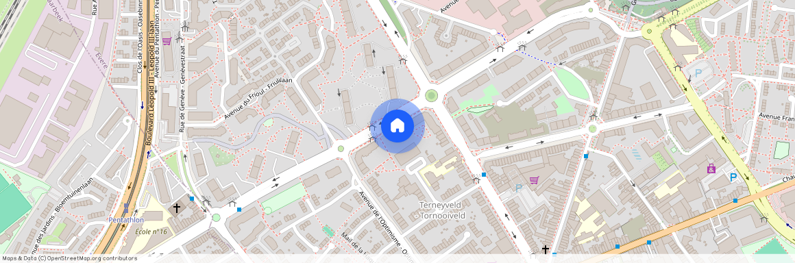 Avenue Henry Dunant, 38, 1140, Evere