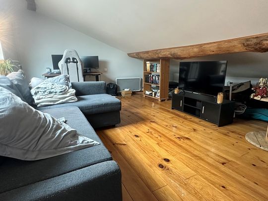 Location Appartement 2 pièces 50m² CHAMPAGNE AU MONT D OR 69410 - Photo 1
