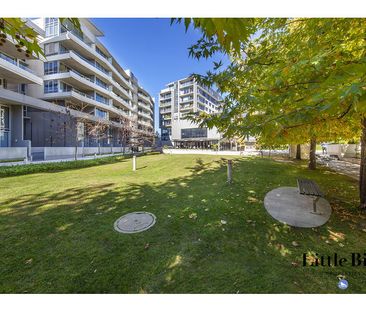 37/3 Burbury Close, Barton ACT 2600 - Apartment For Rent | Domain - Photo 3