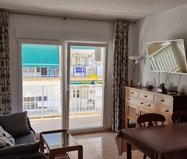 3 BEDROOM APARTMENT - TORREVIEJA - Photo 5