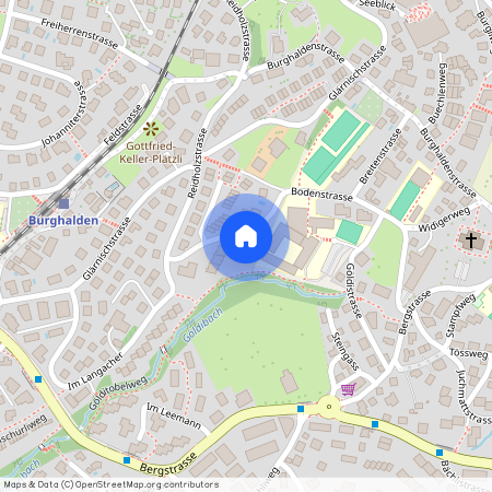 Bodenstrasse 13, 8805, Richterswil