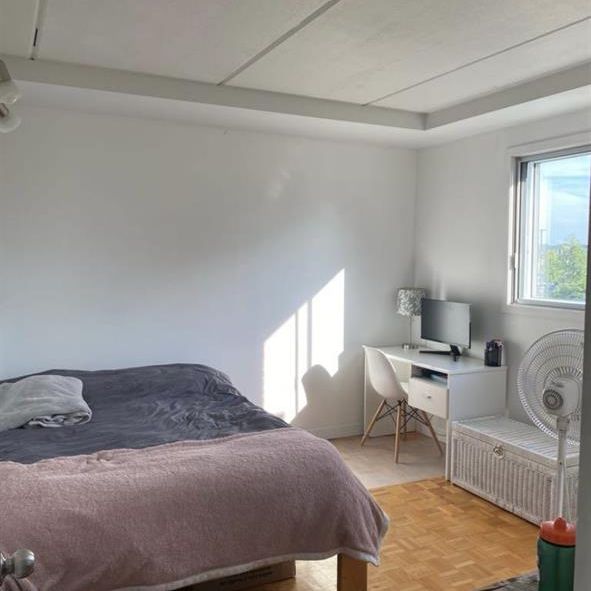 Colocataires - Photo 1