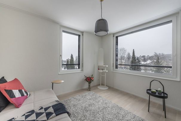 3.5 Zimmer, 99 m², 2. Stock - Photo 1