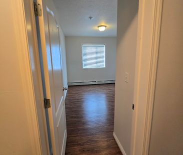 2 bedroom 1 bathroom condo PET FRIENDLY!!! - Photo 5