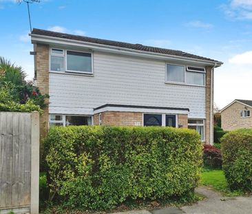 3 bedroom House To Let - Photo 6