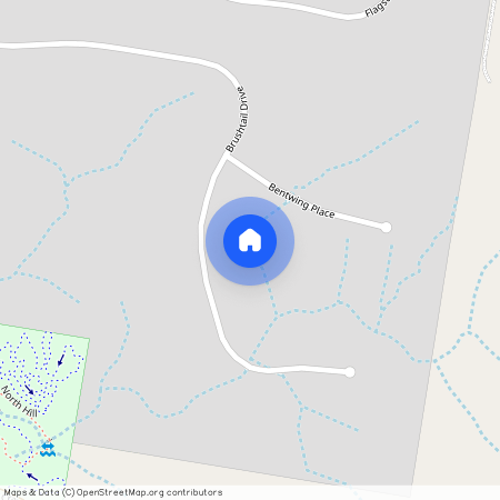 17 Brushtail Drive, NSW 2340, Tamworth
