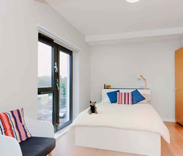 Studio Bronze Plus - Photo 5