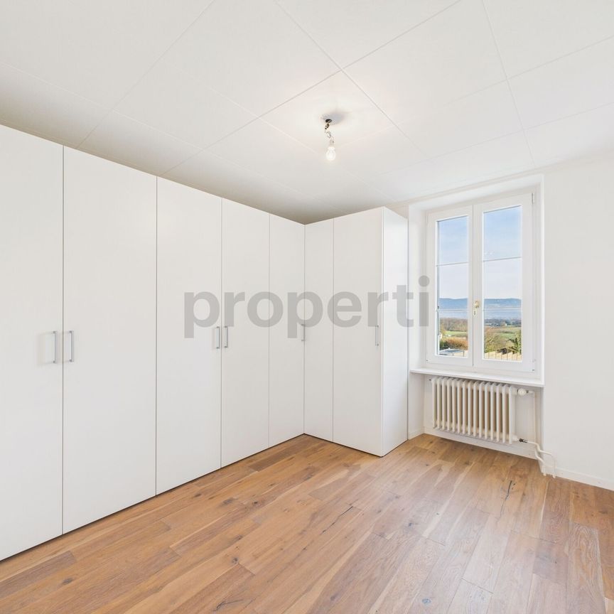 Magnifique Maison de Caractère rénovée au CSur du Village de Collex-Bossy Charm, comfort and Mont-Blanc view - Photo 1