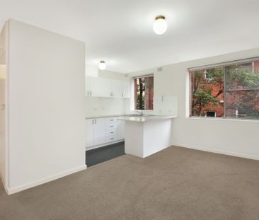 Charming One-Bedroom Ground Floor Apartment near Unsw - Photo 4