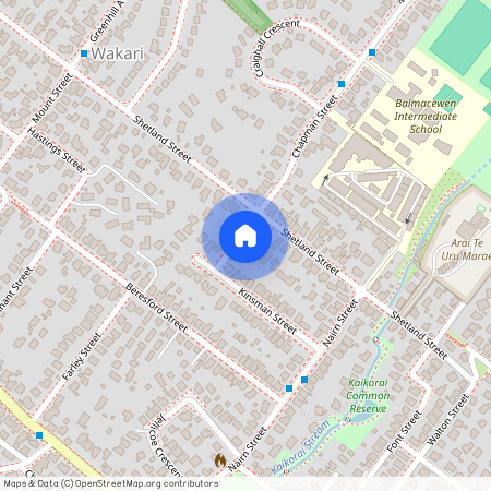 2 Dale Street, Wakari, Dunedin City