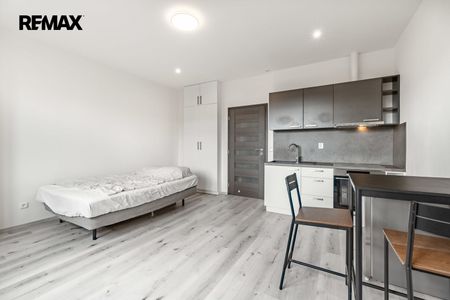 Pronájem bytu 1+kk v osobním vlastnictví 25 m², Praha 6 - Břevnov - Photo 3