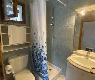 Location Appartement 1 pièce 22m² ORSAY 91400 - Photo 2