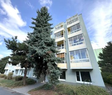 PRONÁJEM PĚKNÉHO BYTU 1+1 S KLIMATIZACÍ, BALKÓNEM A SKLEPEM V ŽIDLO... - Photo 4