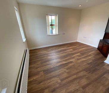 38 Magheralone Road, Ballynahinch, BT24 8ND - Photo 4