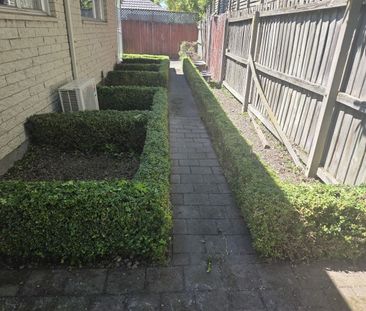 What a find! - Photo 4