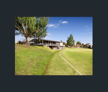 REFURBISHED APARTMENT IN LEAFY GLEN IRIS - Photo 6