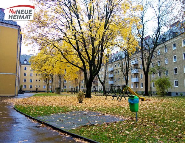 4020 Linz, Liebigstraße 6/033 - Foto 1