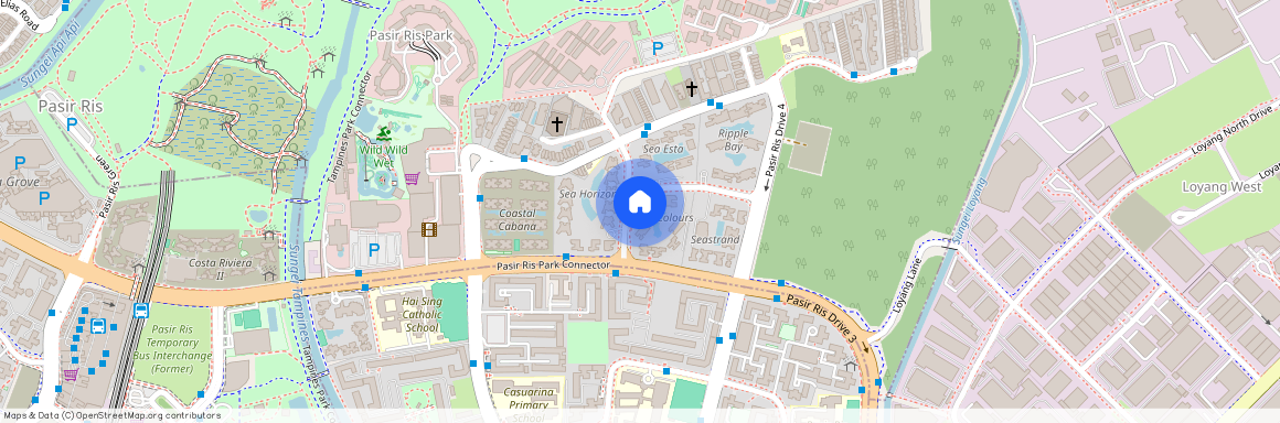 31 Pasir Ris Link (518153), Singapore