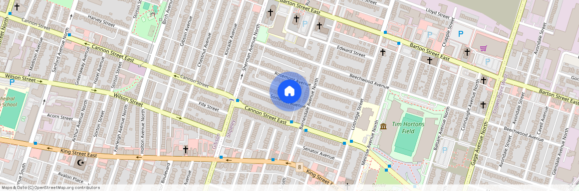 41 Somerset Avenue, Hamilton