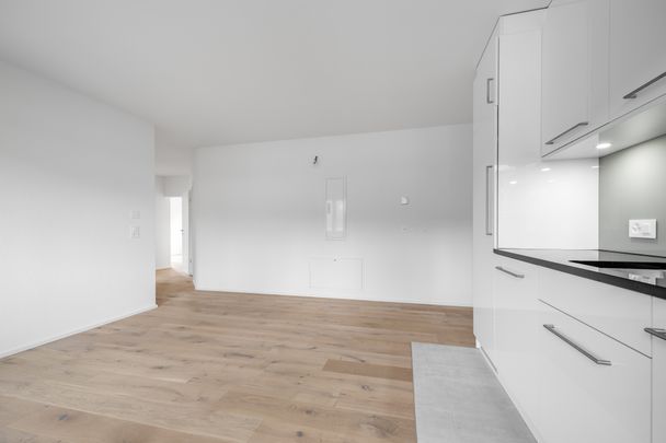 4410 Liestal - Photo 1