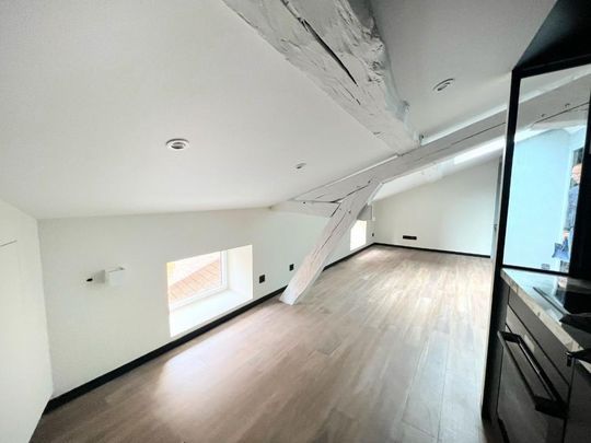 Location Appartement 2 pièces 15m² ROANNE 42300 - Photo 1