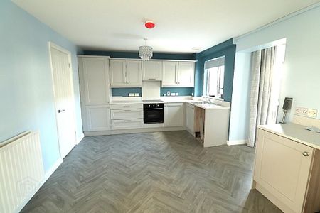 10 Kildara Close, Coalisland, Dungannon, BT71 4RN - Photo 2