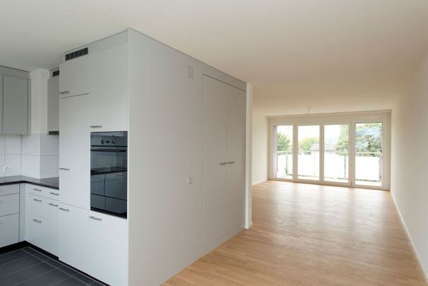 Sunny apartment with a spacious balcony! - Photo 1