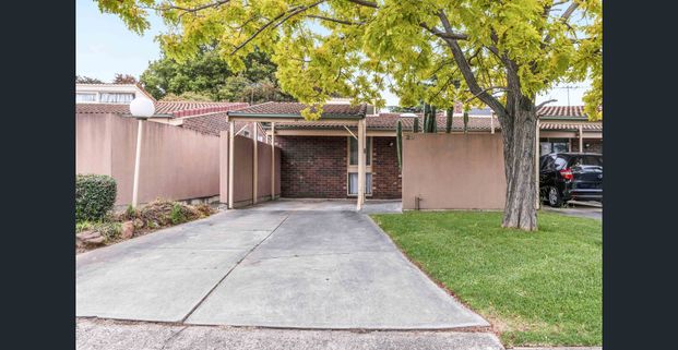 Easy-Care Unit Offering an Exceptional Lifestyle! - Photo 1