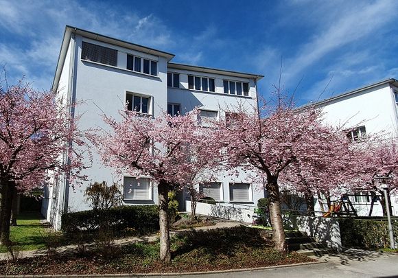 Attika-Traum im Zentrum von Wil mit riesiger Terrasse - Photo 1