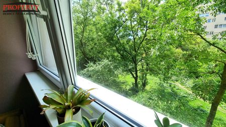 Łódź, Górna, Dąbrowa - Фото 5