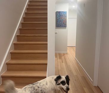 Pascoe Vale - Photo 2