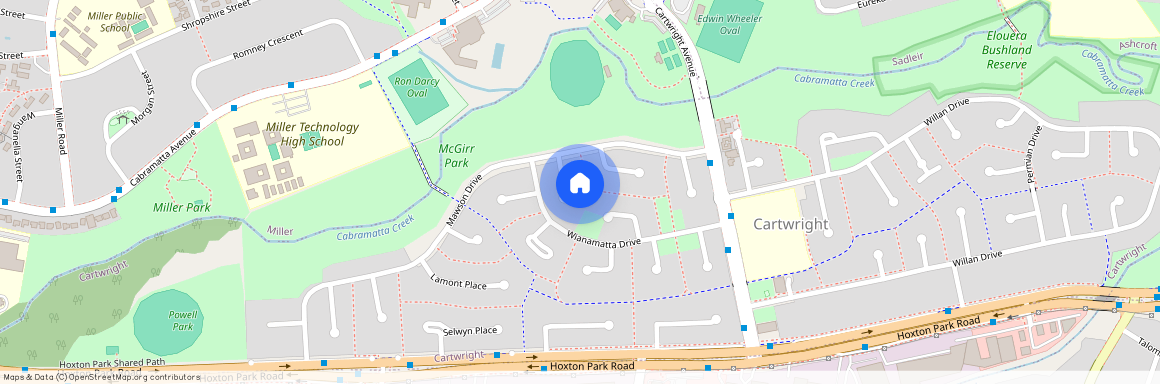 8 Cobar Place, NSW 2168, Cartwright