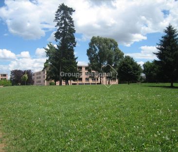 Appartement Champagne Au Mont D'or 3 pièces, - Photo 6