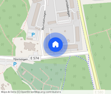 Bjursdalsvägen 19 B - Photo 1