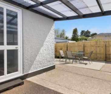 Cutie on Puriri - Photo 6