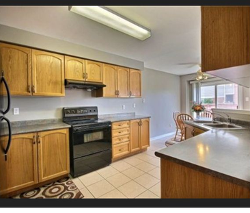 For Lease - 55 PEACHLEAF Crescent, Brampton, Ontario - Photo 1