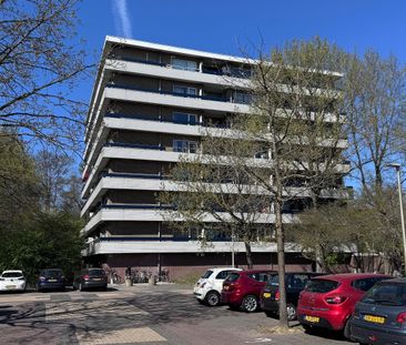 Marne 119 1186 PJ Amstelveen - Photo 2