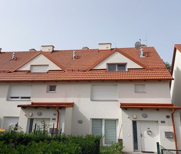 SITTENDORF I/3 - Photo 4