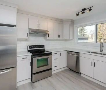 Modern 3 Bed 1.5 Bath Suite | 7424 41 Avenue Northwest, Edmonton - Photo 1