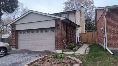 For Lease - 46 Blacktoft Drive Unit# Bsmt, Toronto, Ontario - Photo 5
