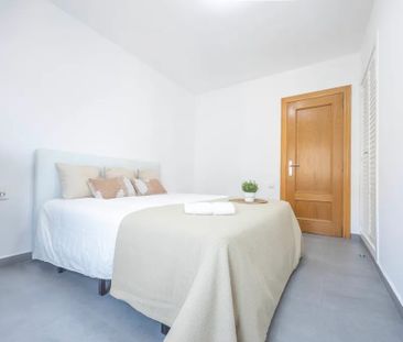 Avinguda de Blasco Ibáñez, Valencia, Valencian Community 46022 - Photo 3