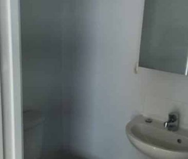 Central Auckland studio apartment Oasis with Pool! - Photo 5