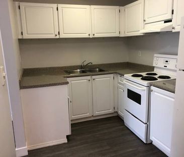 Richmond Steveston 2 bedroom Pet Friendly Ocean, ONE MONTH FREE - Photo 1