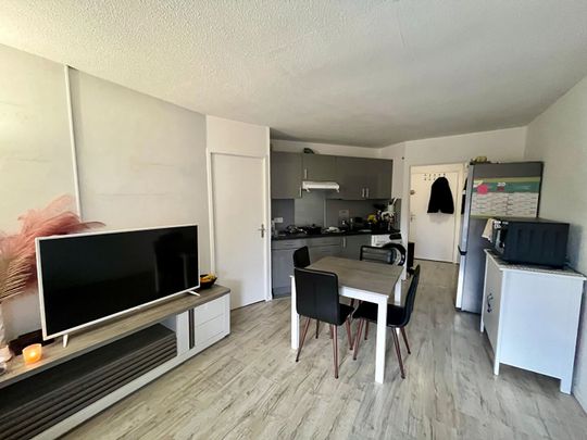 Appartement T2 Blagnac à louer - Photo 1