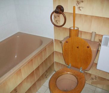 Location Appartement 2 pièces 54m² GRETZ ARMAINVILLIERS 77220 - Photo 4