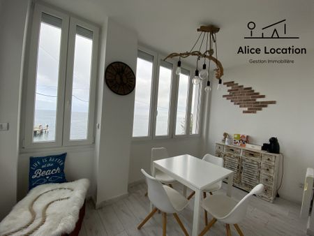Location Appartement 1 pièce 24m² PUBLIER 74500 - Photo 3