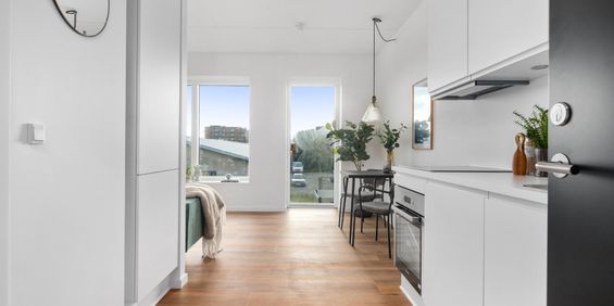 Boligen til den studerende, singlen eller det unge par - Photo 3