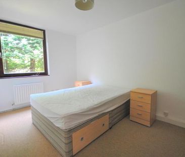 1c Mornington Mews, Belfast, BT7 3JZ - Photo 4