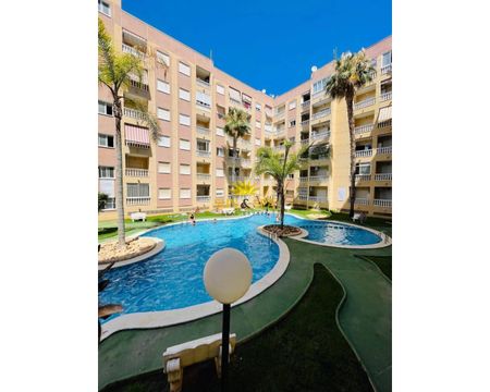 1 BEDROOM GROUND FLOOR APARTMENT - TORREVIEJA - Photo 3